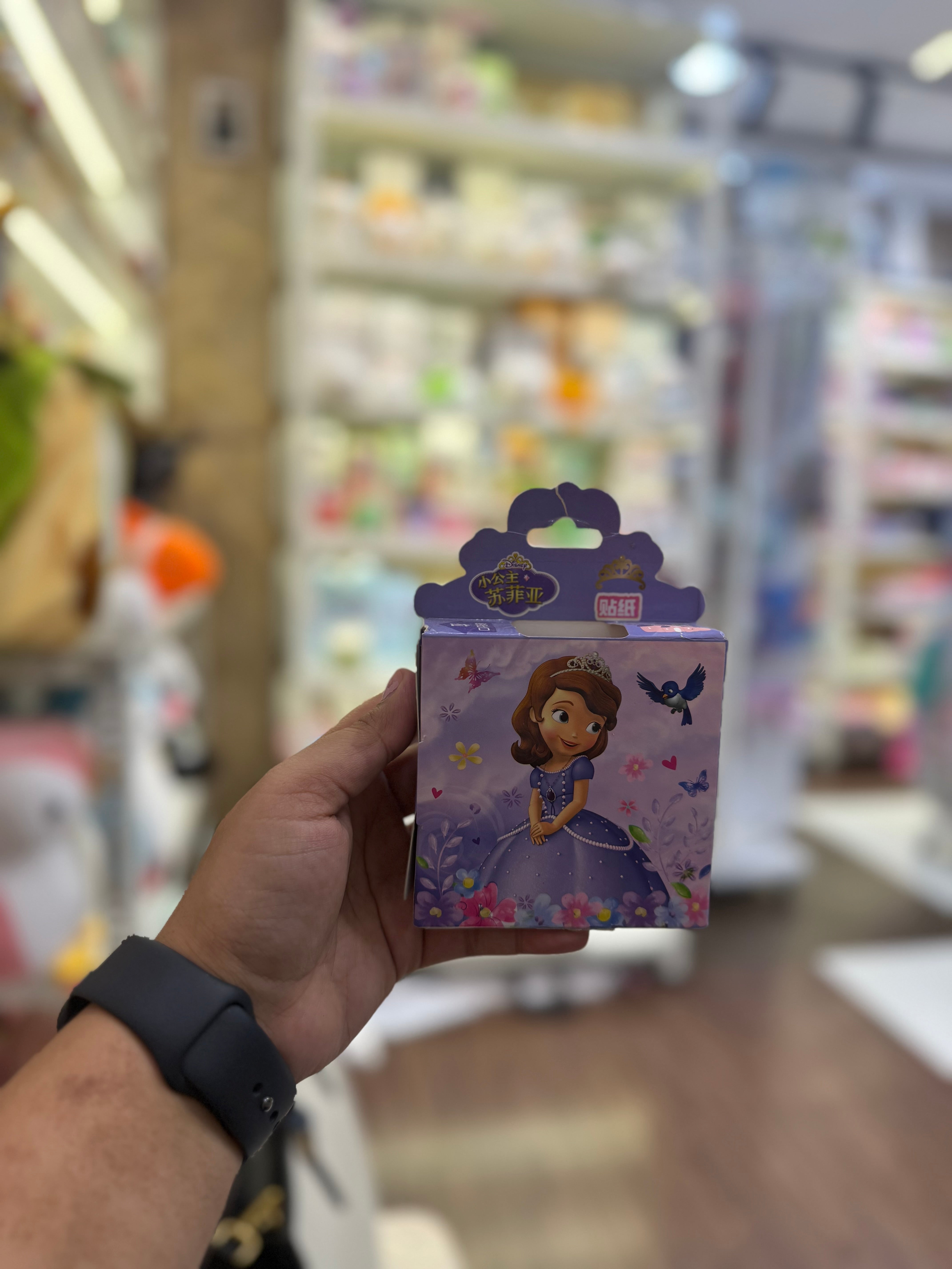 Princess Theme & Toy Story Sticker Pack – Sofia the First 👑✨
